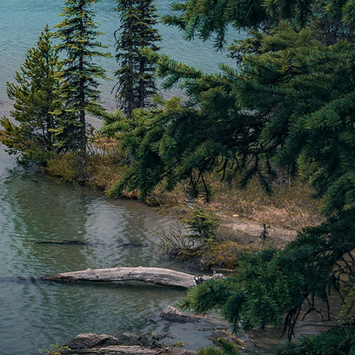 Vlies Fototapete | Spirit Island | Größe 450 x 280 cm