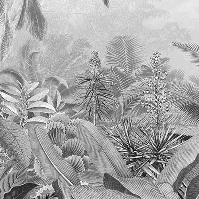 Komar | Vlies Fototapete | Amazonia Black and White | Größe 400 x 250 cm