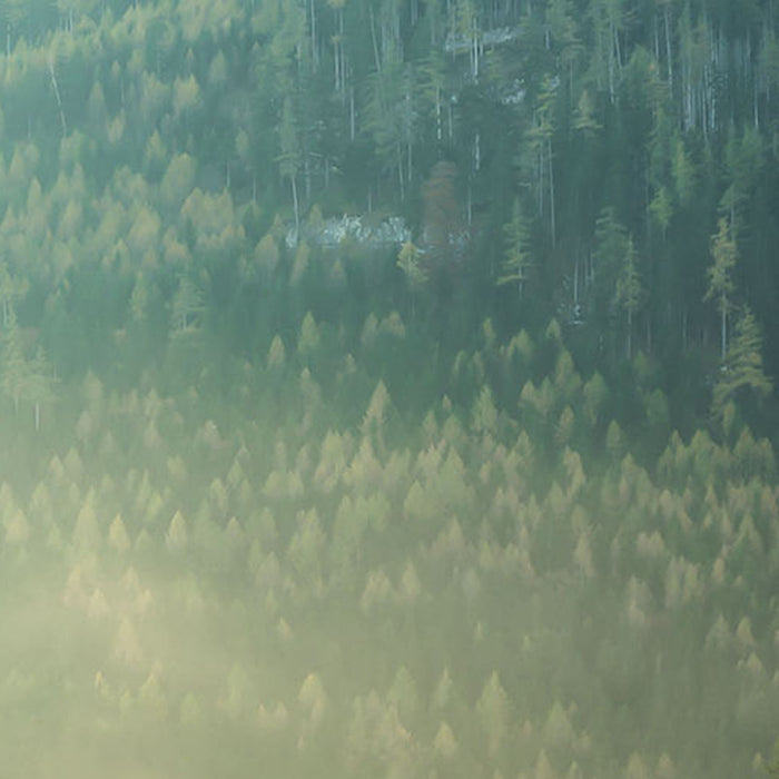 Vlies Fototapete | Indulgence of Beauty | Größe 200 x 250 cm