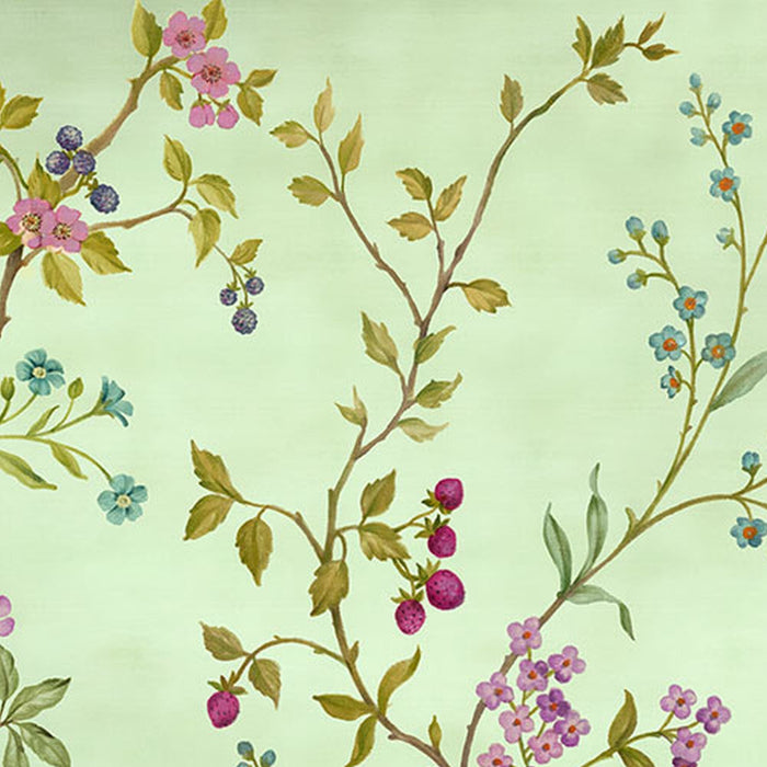 Vlies Fototapete | Oiseaux du Paradis | Größe 350 x 250 cm