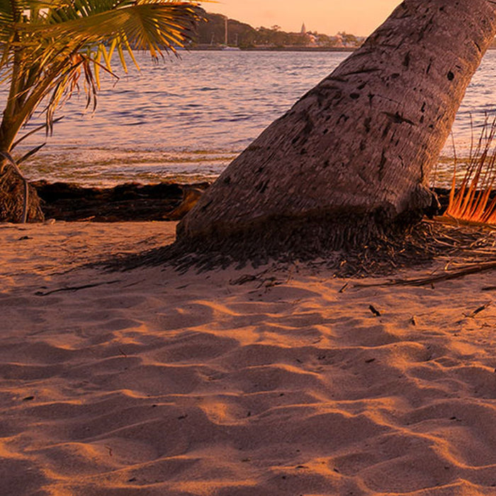 Vlies Fototapete | Reaching the Sun | Größe 400 x 250 cm