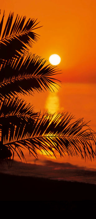Komar | Fototapete | Sunset | Größe 97 x 220 cm