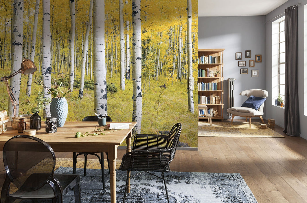 Vlies Fototapete | Orange Forest | Größe 400 x 250 cm