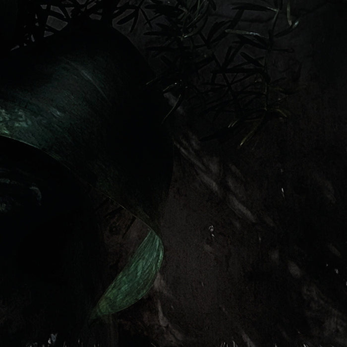 Papier Fototapete | Still Life | Größe 368 x 254 cm