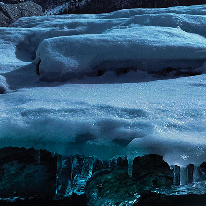 Vlies Fototapete | The Coronation | Größe 200 x 250 cm