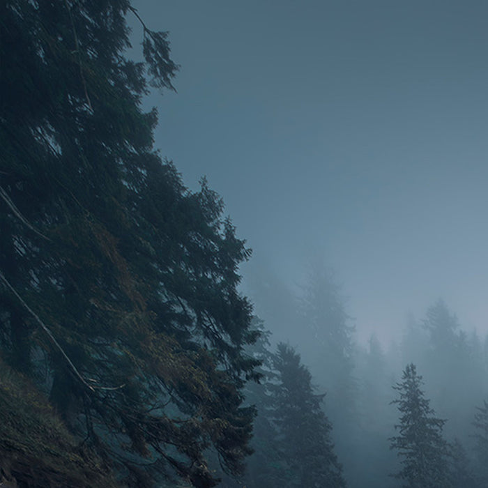 Vlies Fototapete | Cry of the Sea | Größe 200 x 280 cm