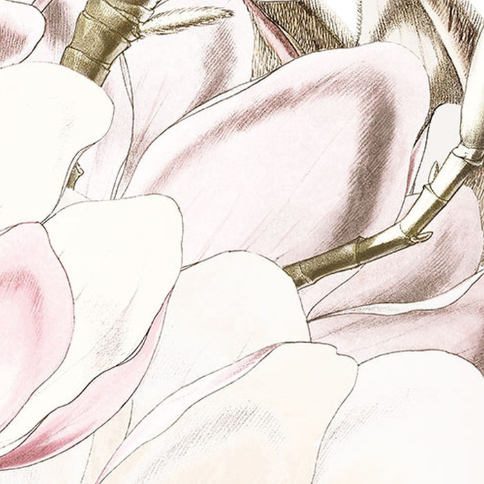 Vlies Fototapete | Petals | Größe 368 x 248 cm