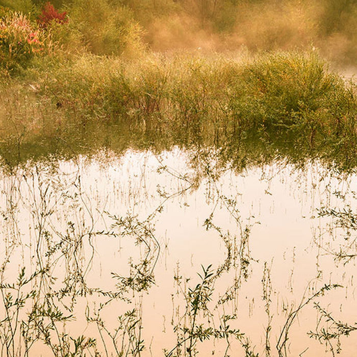 Vlies Fototapete | Morning View II | Größe 400 x 250 cm