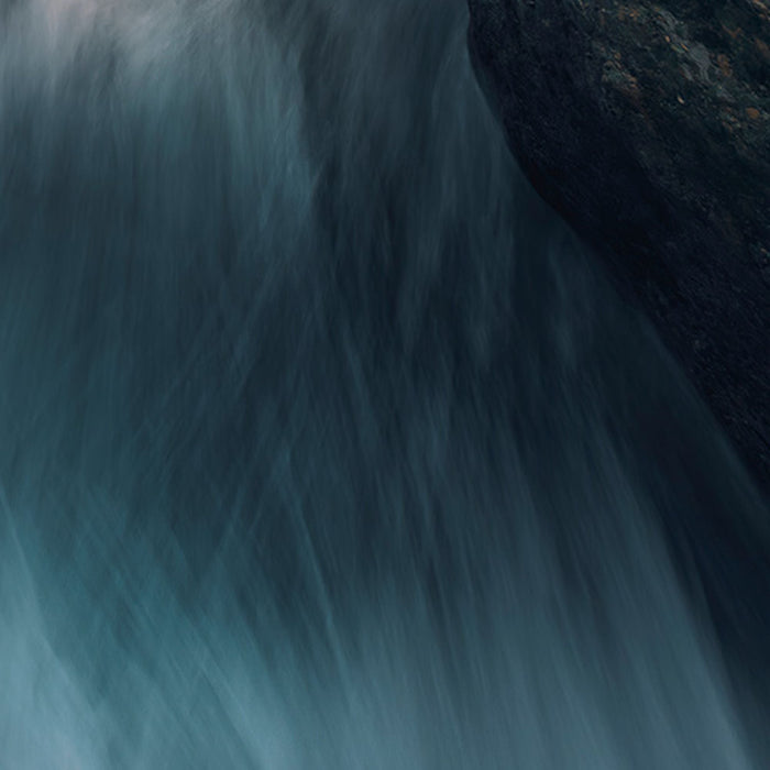 Vlies Fototapete | Cry of the Sea | Größe 200 x 280 cm