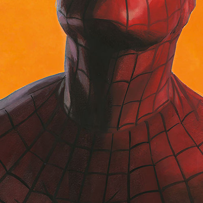 Vlies Fototapete | Spider Man Comic | Größe 100 x 250 cm