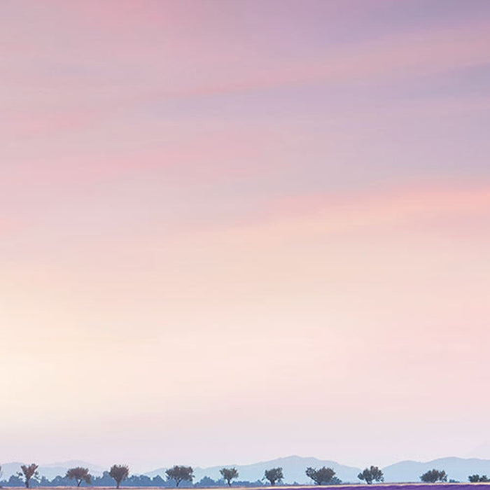 Komar | Vlies Fototapete | Provence | Größe 300 x 250 cm