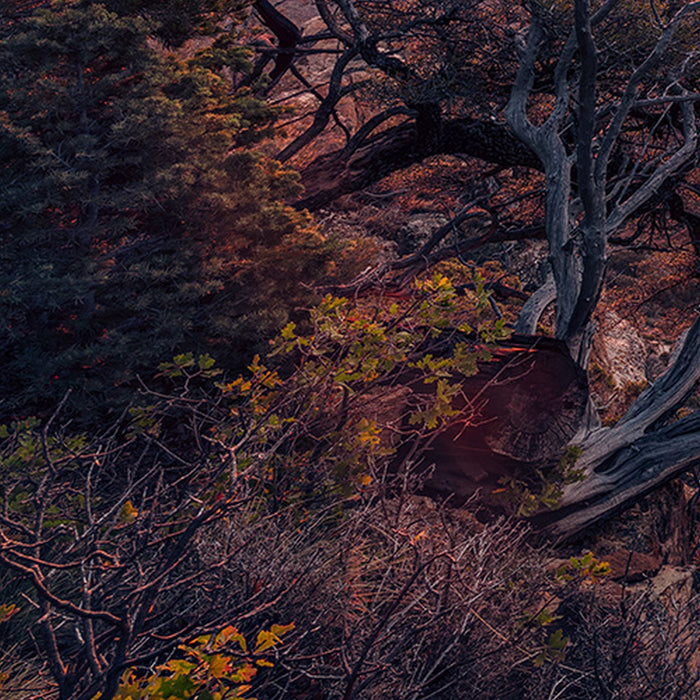 Vlies Fototapete | Grand View  | Größe 450 x 280 cm