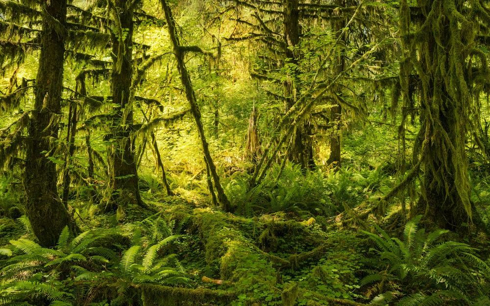 Vlies Fototapete | Ancient World | Größe 400 x 250 cm