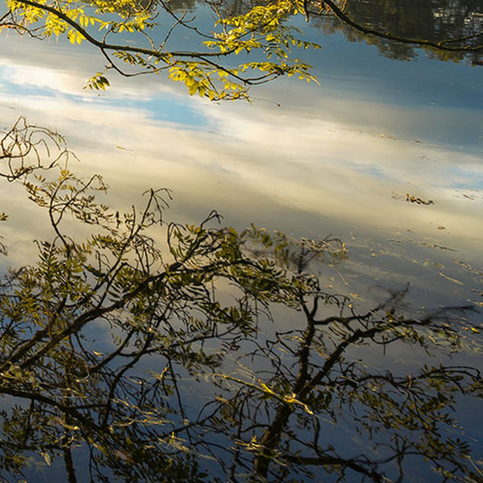 Vlies Fototapete | Golden Embrace | Größe 400 x 250 cm