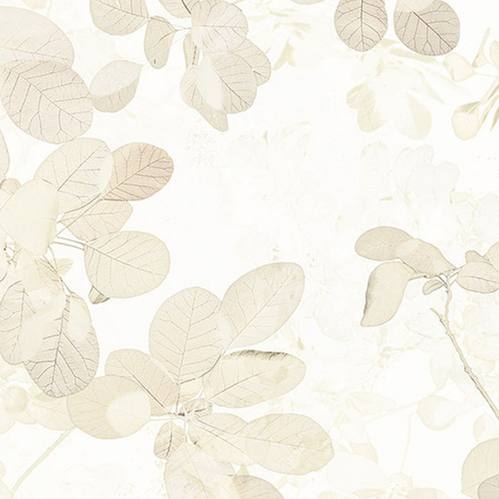 Vlies Fototapete | Sheer | Größe 400 x 250 cm