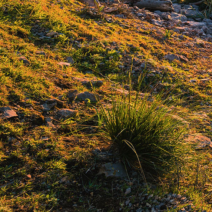 Vlies Fototapete | Southern Light | Größe 400 x 250 cm