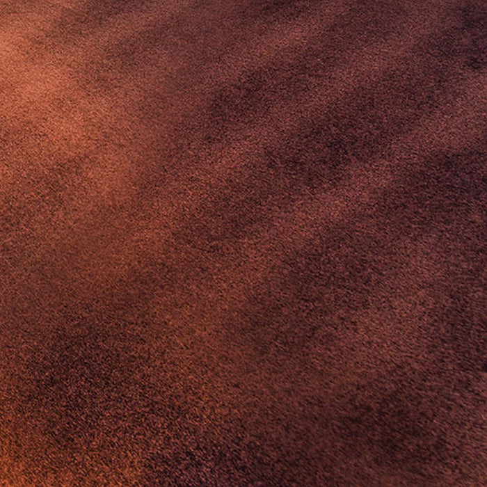 Komar | Vlies Fototapete | Gently Touched | Größe 400 x 250 cm