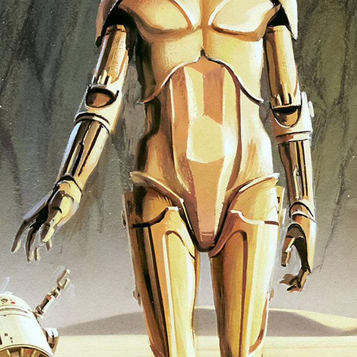 Vlies Fototapete | Star Wars Classic RMQ Droids | Größe 500 x 250 cm