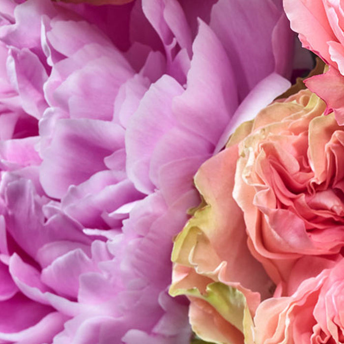 Papier Fototapete | Vibrant Spring | Größe 368 x 254 cm