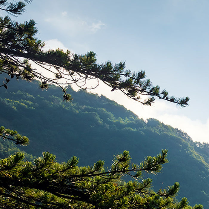 Vlies Fototapete | Elbenpforte | Größe 450 x 280 cm