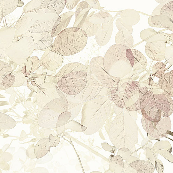 Vlies Fototapete | Sheer | Größe 400 x 250 cm