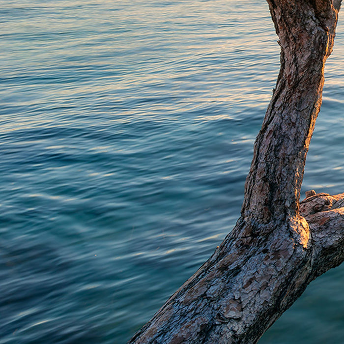 Vlies Fototapete | Final Light | Größe 450 x 280 cm