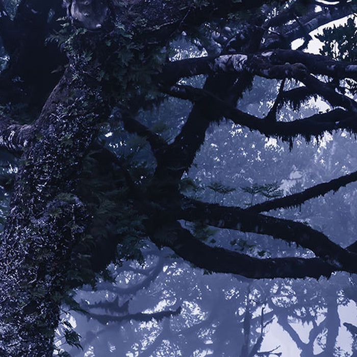 Vlies Fototapete | Ghost Line | Größe 400 x 250 cm