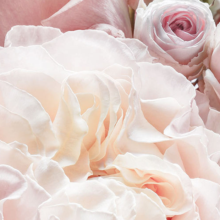Papier Fototapete | Spring Roses | Größe 368 x 254 cm