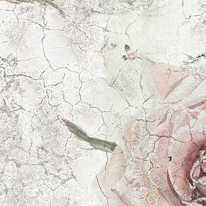 Vlies Fototapete | Tantinet | Größe 400 x 260 cm