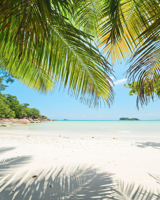 Vlies Fototapete | Under The Palmtree | Größe 200 x 250 cm