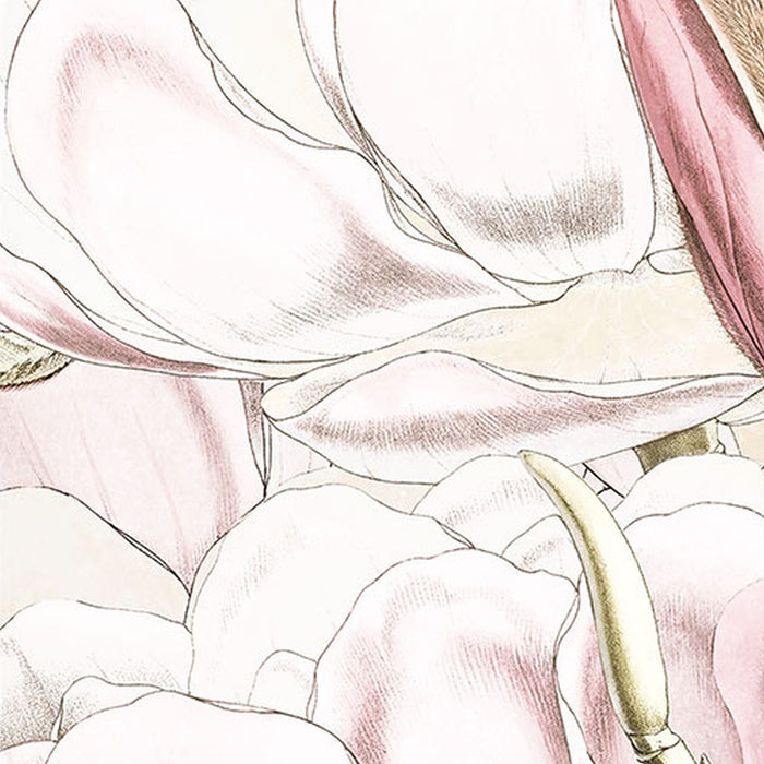 Vlies Fototapete | Petals | Größe 368 x 248 cm