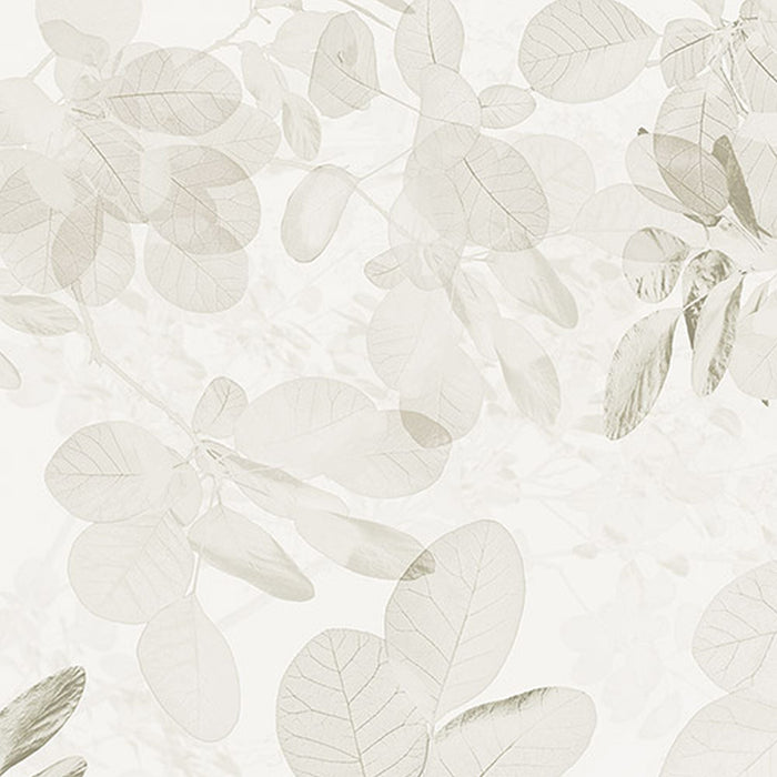 Vlies Fototapete | Sheer Grey | Größe 400 x 250 cm