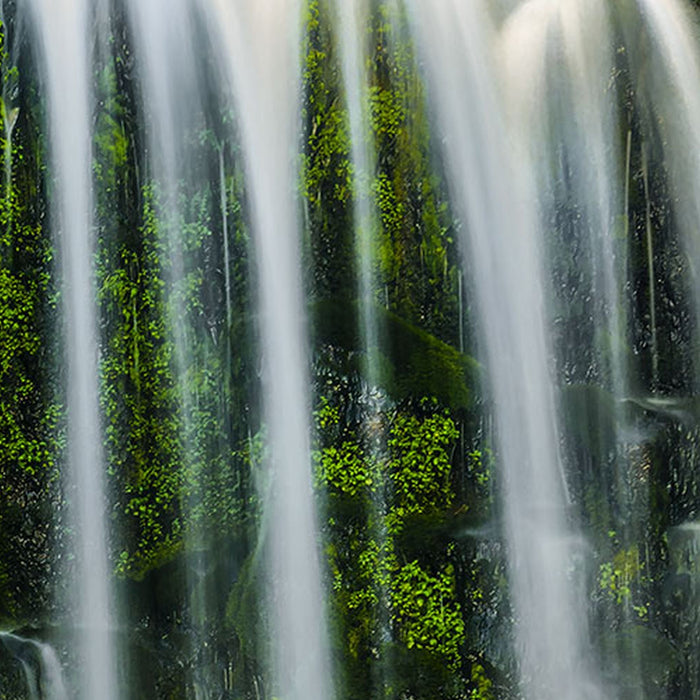 Vlies Fototapete | Ensemble of Veils | Größe 300 x 250 cm