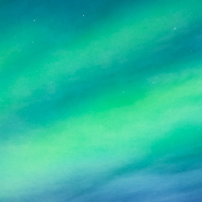 Vlies Fototapete | The Coronation | Größe 200 x 250 cm