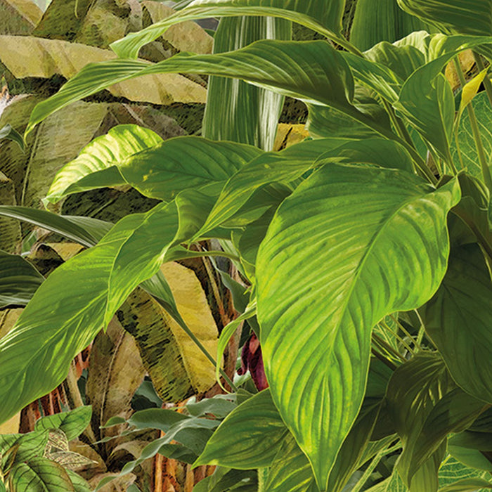 Vlies Fototapete | Into the Wild | Größe 368 x 248 cm