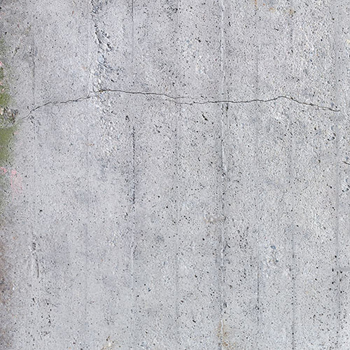 Komar | Vlies Fototapete | Betonfeder | Größe 300 x 250 cm