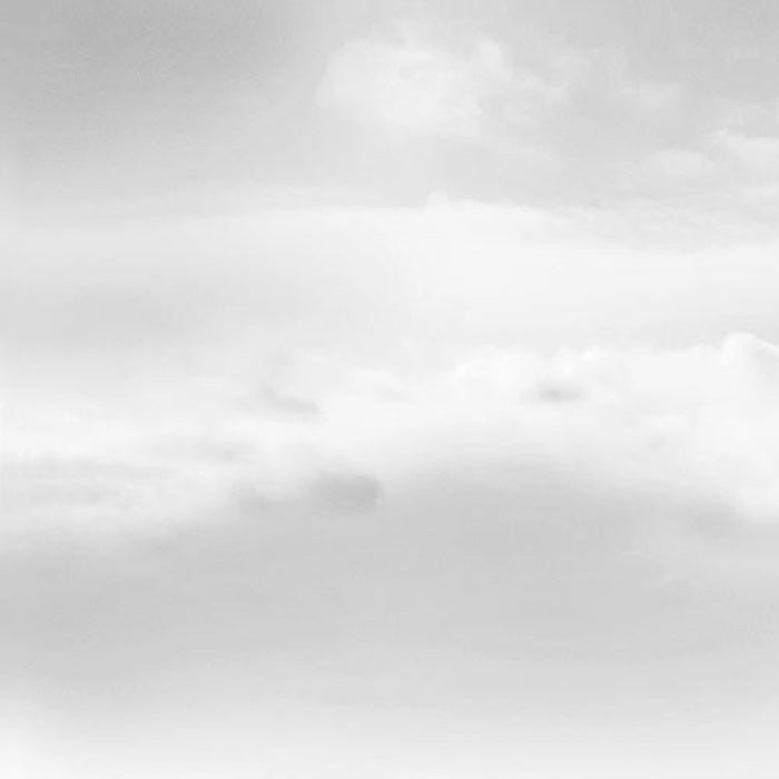 Komar | Fototapete | NYC Black And White | Größe 368 x 254 cm