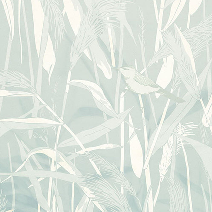 Komar | Vlies Fototapete | Reed  | Größe 300 x 250 cm