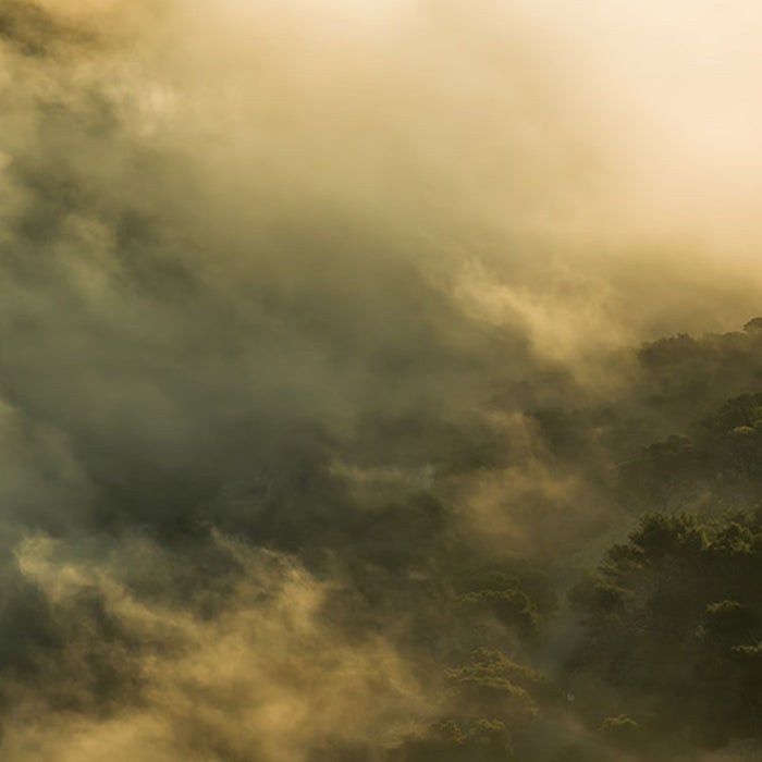 Vlies Fototapete | Pangea | Größe 450 x 280 cm