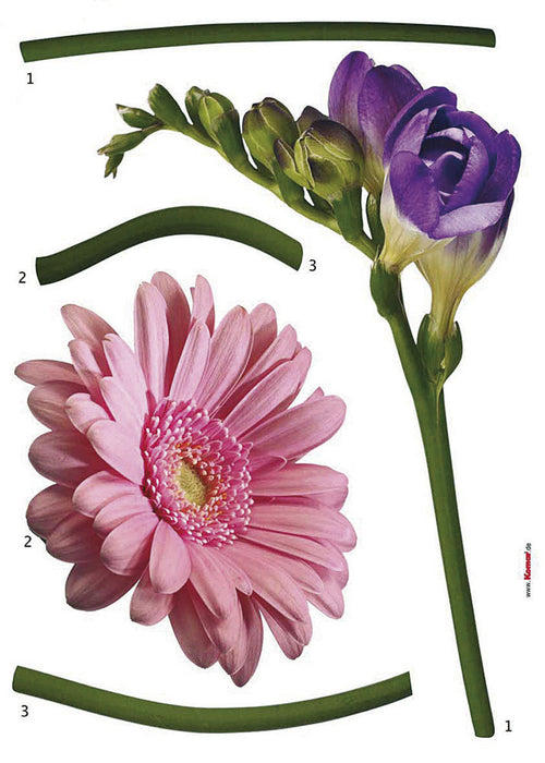 Wandtattoo | Fiore | Größe 50 x 70 cm