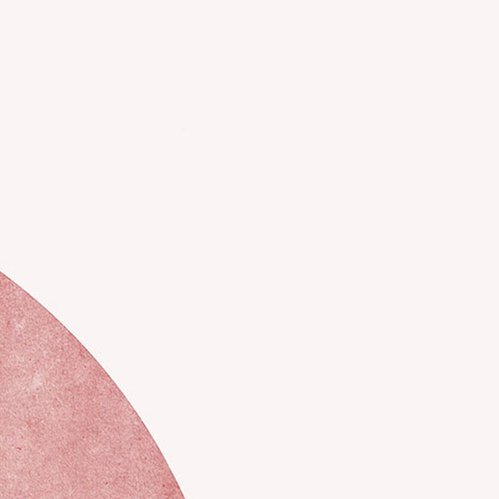 Vlies Fototapete | Minnie Creative Aesthetic | Größe 250 x 280 cm