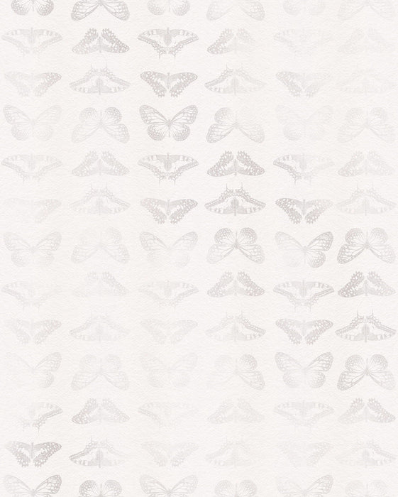 Vlies Fototapete | Mur de Papillons  | Größe 200 x 250 cm