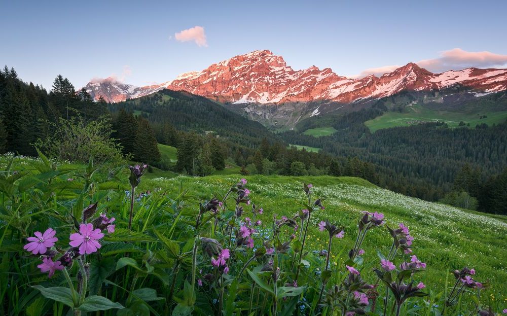 Komar | Vlies Fototapete | Picturesque Switzerland | Größe 450 x 280 cm