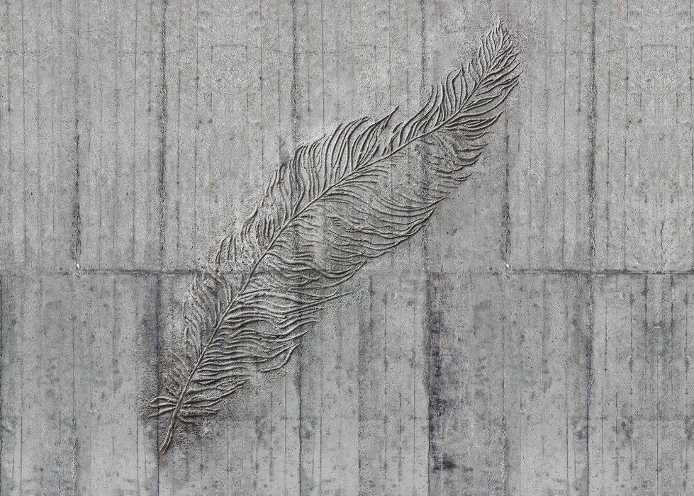 Vlies Fototapete | Concrete Feather  | Größe 350 x 250 cm