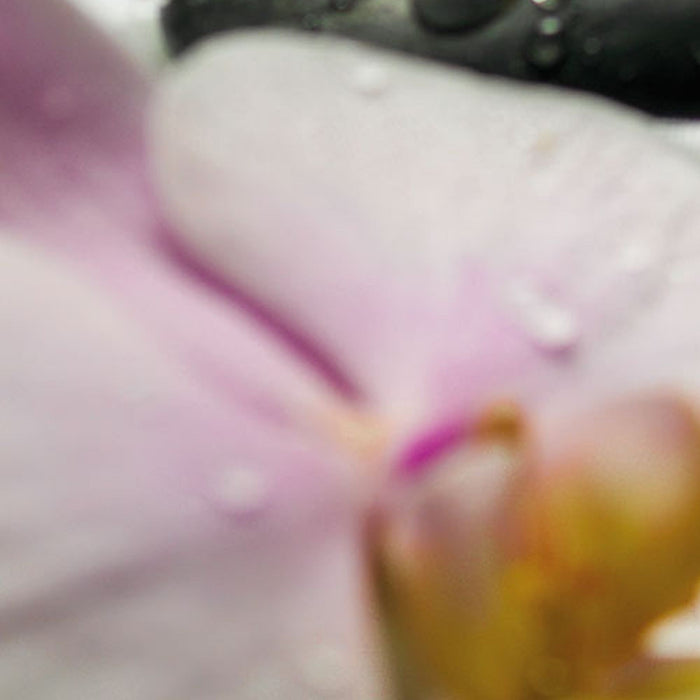 Vlies Fototapete | Wellness | Größe 100 x 280 cm