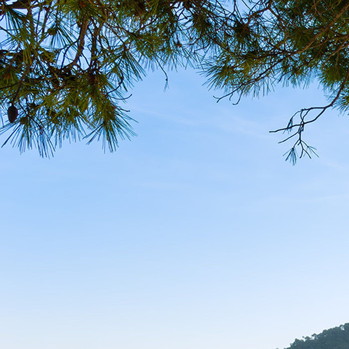 Vlies Fototapete | Lonely Paradise | Größe 450 x 280 cm