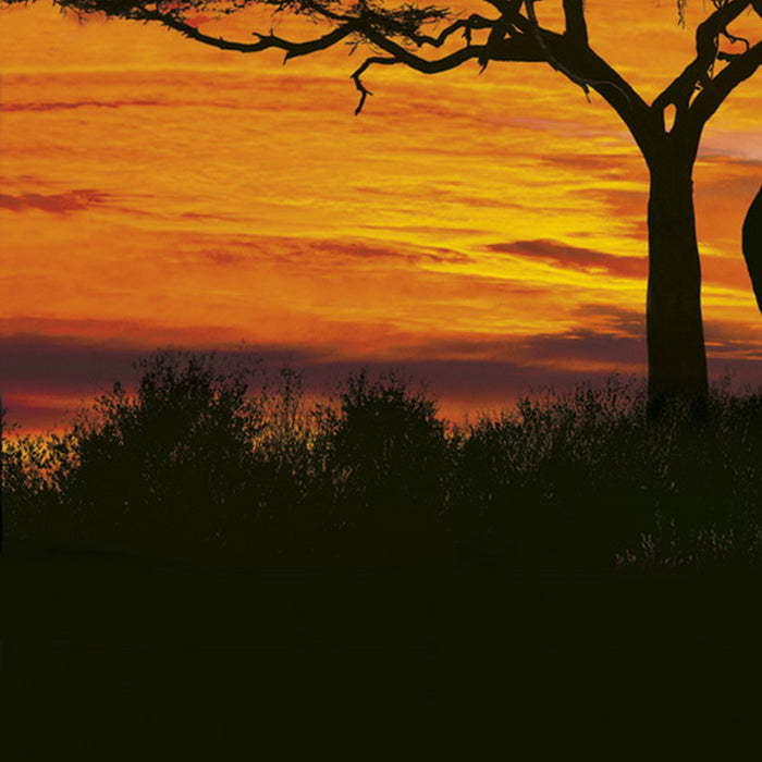Komar | Papier Fototapete | African Sunset | Größe 194 x 270 cm