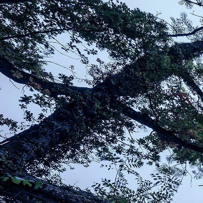 Vlies Fototapete | Blue Waters | Größe 400 x 250 cm