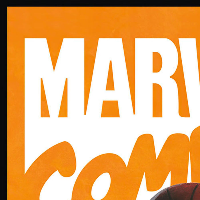 Vlies Fototapete | Spider Man Comic | Größe 100 x 250 cm