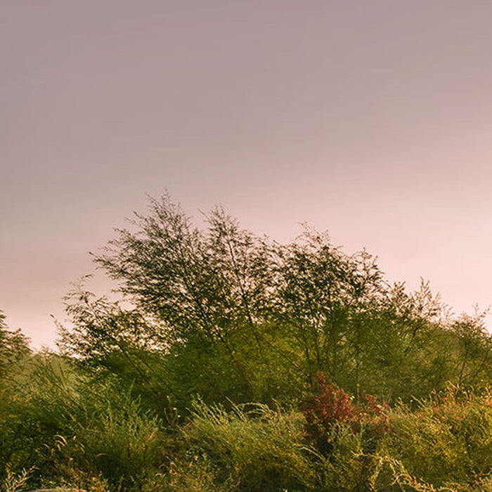 Vlies Fototapete | Morning View II | Größe 400 x 250 cm